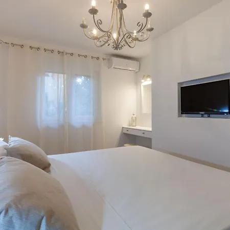 Olive Tree * Spalato