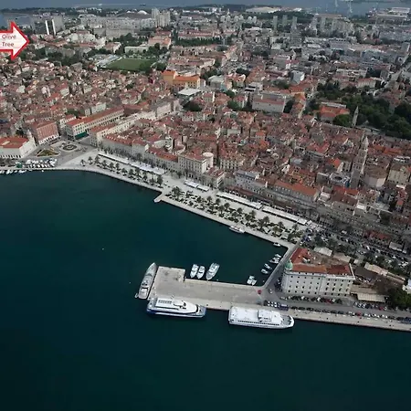 Appartamento Olive Tree Spalato