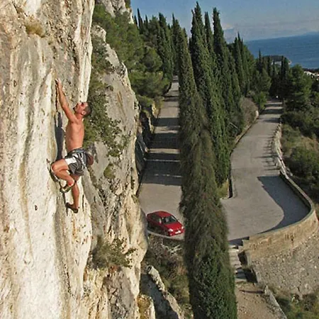 Olive Tree Appartamento Spalato