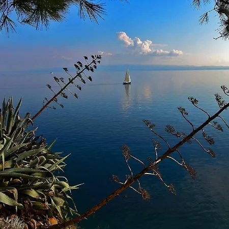 Olive Tree Appartamento